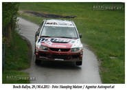 Bosch Rallye 2011
