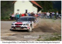 Schneebergland-Rallye 2013